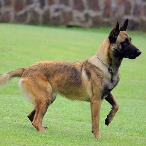 Meet your Posher, Alexander